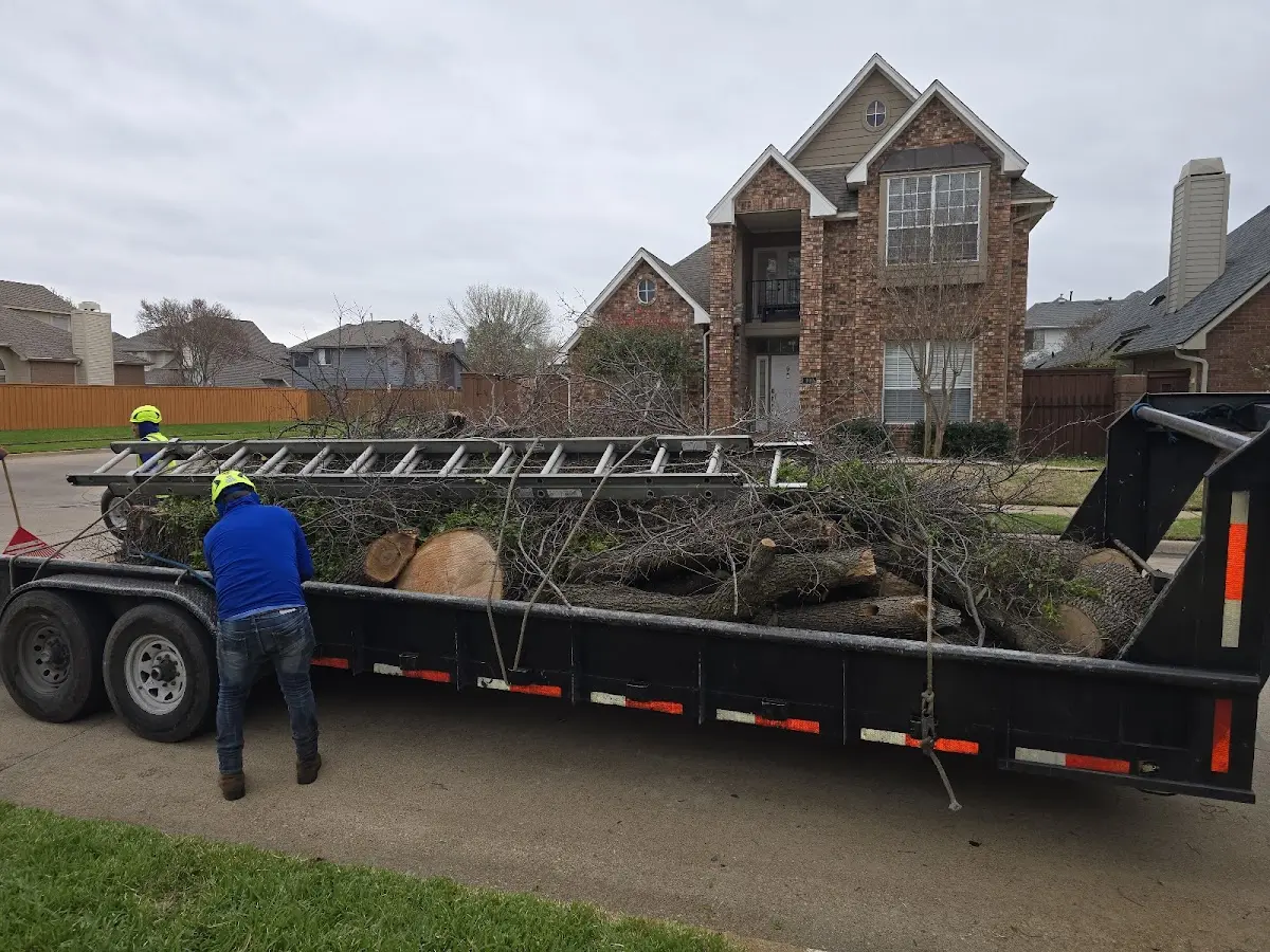 Expert Crown Reduction with proper safety equipment in Pleasant Valley